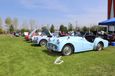 Triumph TR 3s