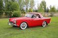 Ann_&_Craig_Hall_63_Alpine