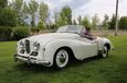 Best_of_Show_Craig_&_Ann_Hall_56_Jowett_Jupiter