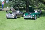 Big Healey Convts